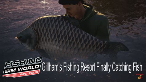 Gillham's Fishing Resort: Baits to use .